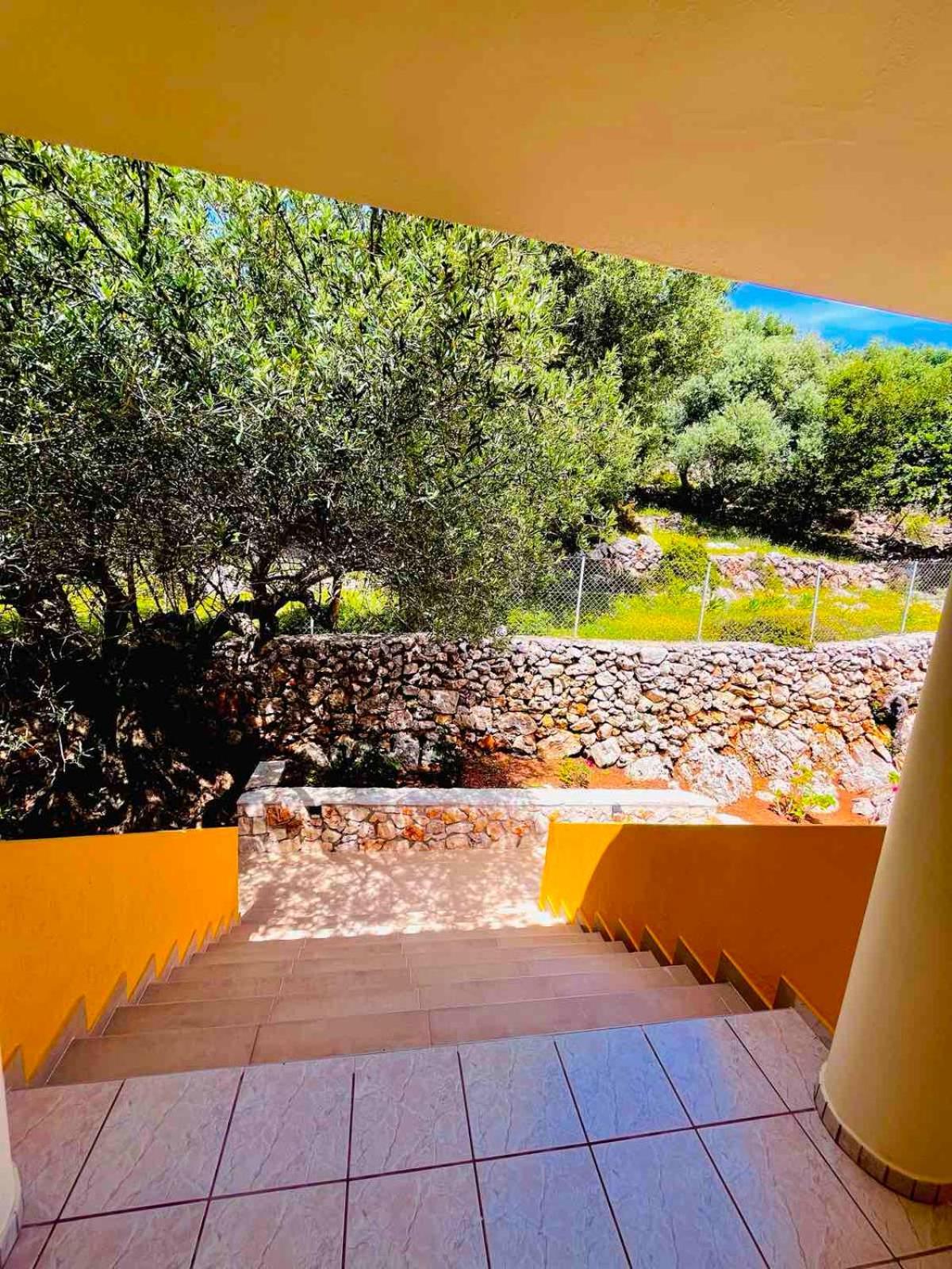Asteras Studios Argostoli  Eksteriør billede