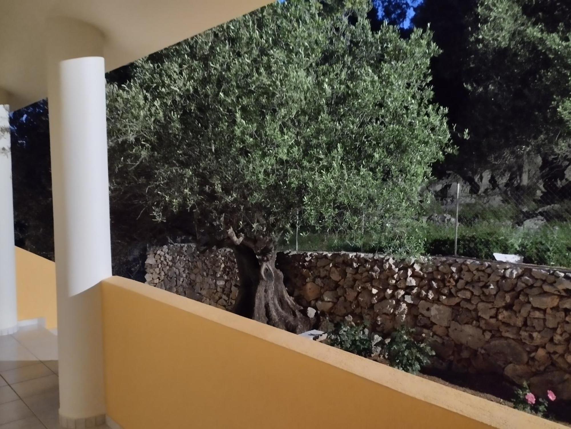 Asteras Studios Argostoli  Eksteriør billede