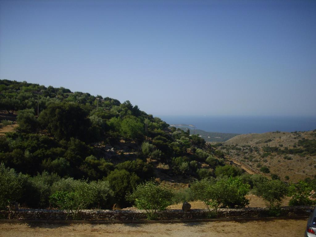 Asteras Studios Argostoli  Eksteriør billede