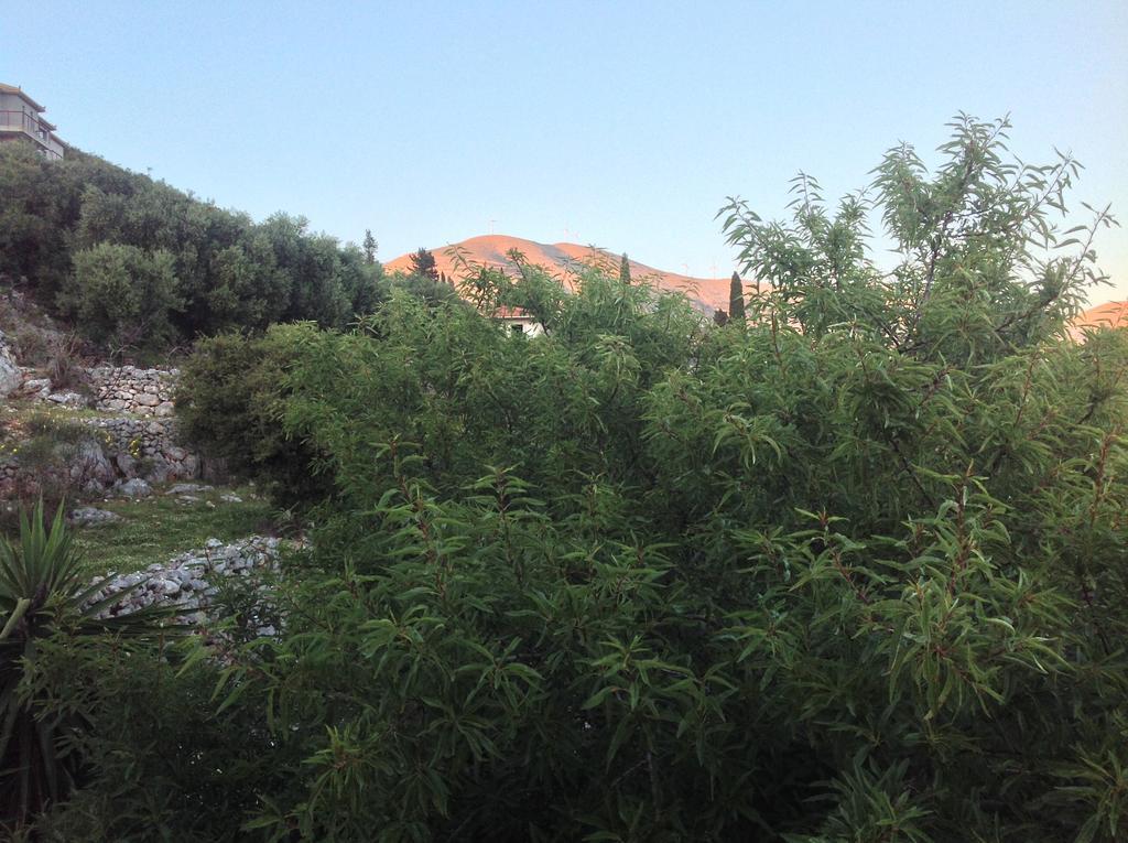 Asteras Studios Argostoli  Eksteriør billede