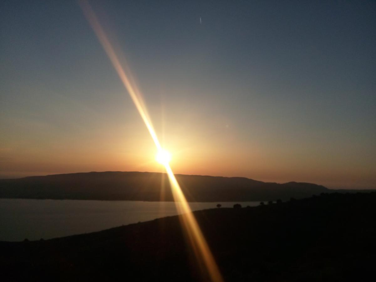 Asteras Studios Argostoli  Eksteriør billede